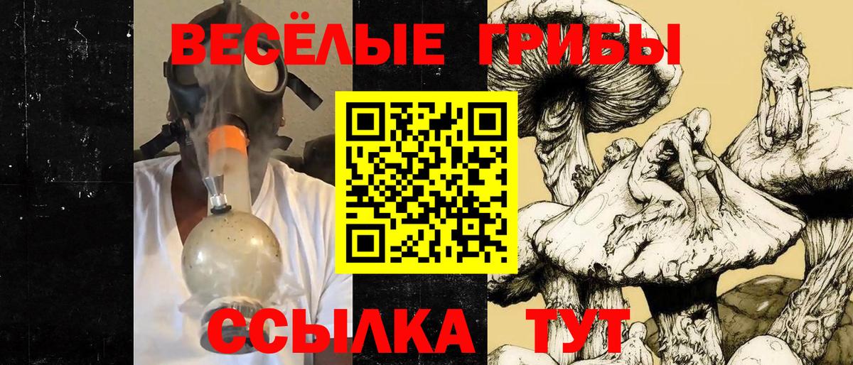 Псилоцибиновые грибы Cubensis  Вход с VPN  Белая Калитва 